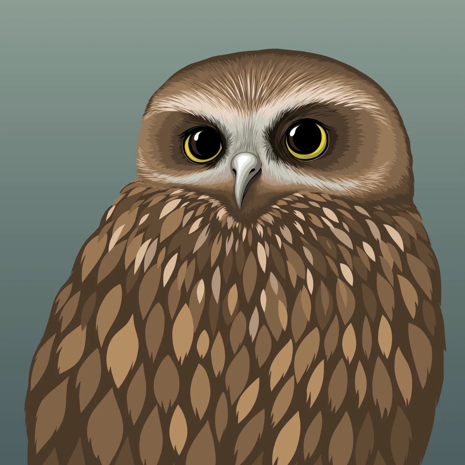 New Arrivals - Boutique Gifts & Lifestyle / Studio Matakana