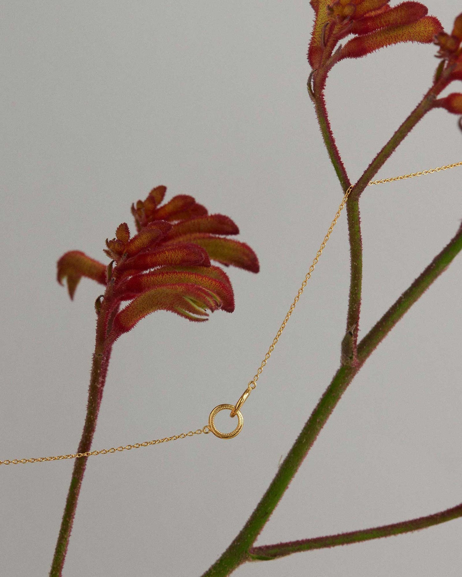 Grace Infinity Necklace  (18K Gold Vermeil)