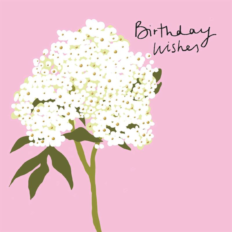 Rachel Ellen - Hydrangea - Birthday Card