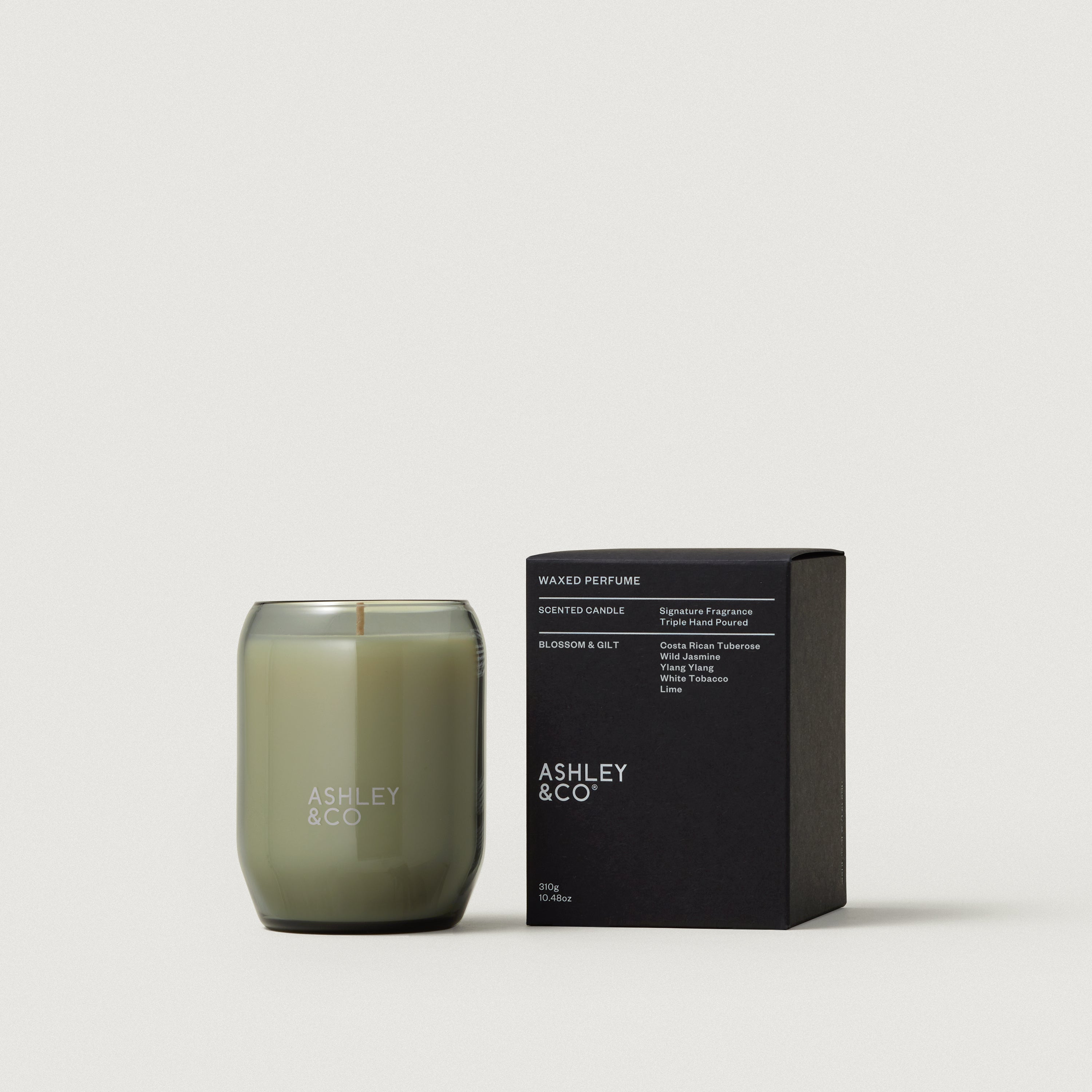 Ashley & Co - Candle  Blosson and Gilt