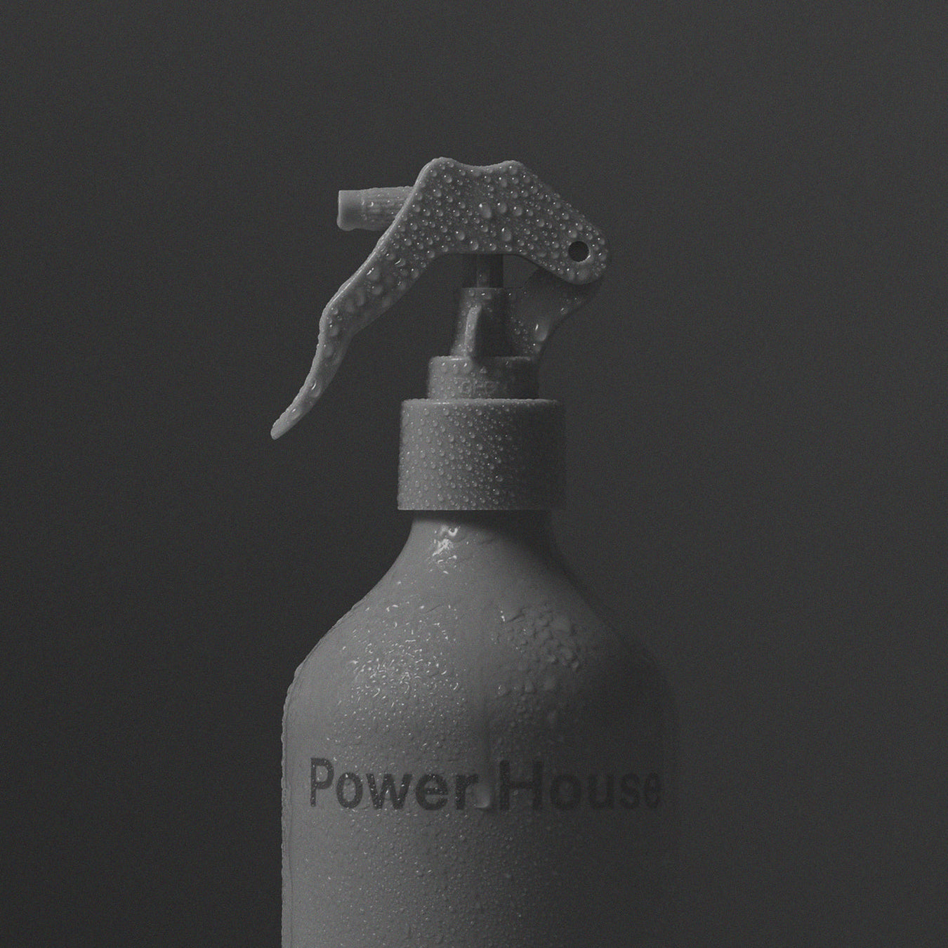 Ashley & Co  Room Mist - Power House - Tui & Kahili