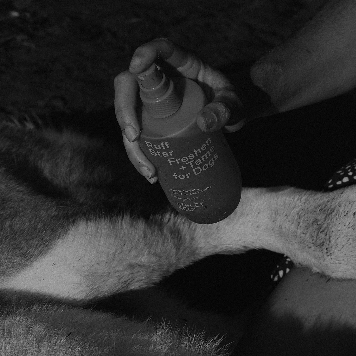 Ashley & Co - Ruff Star Freshen & Tame Spray