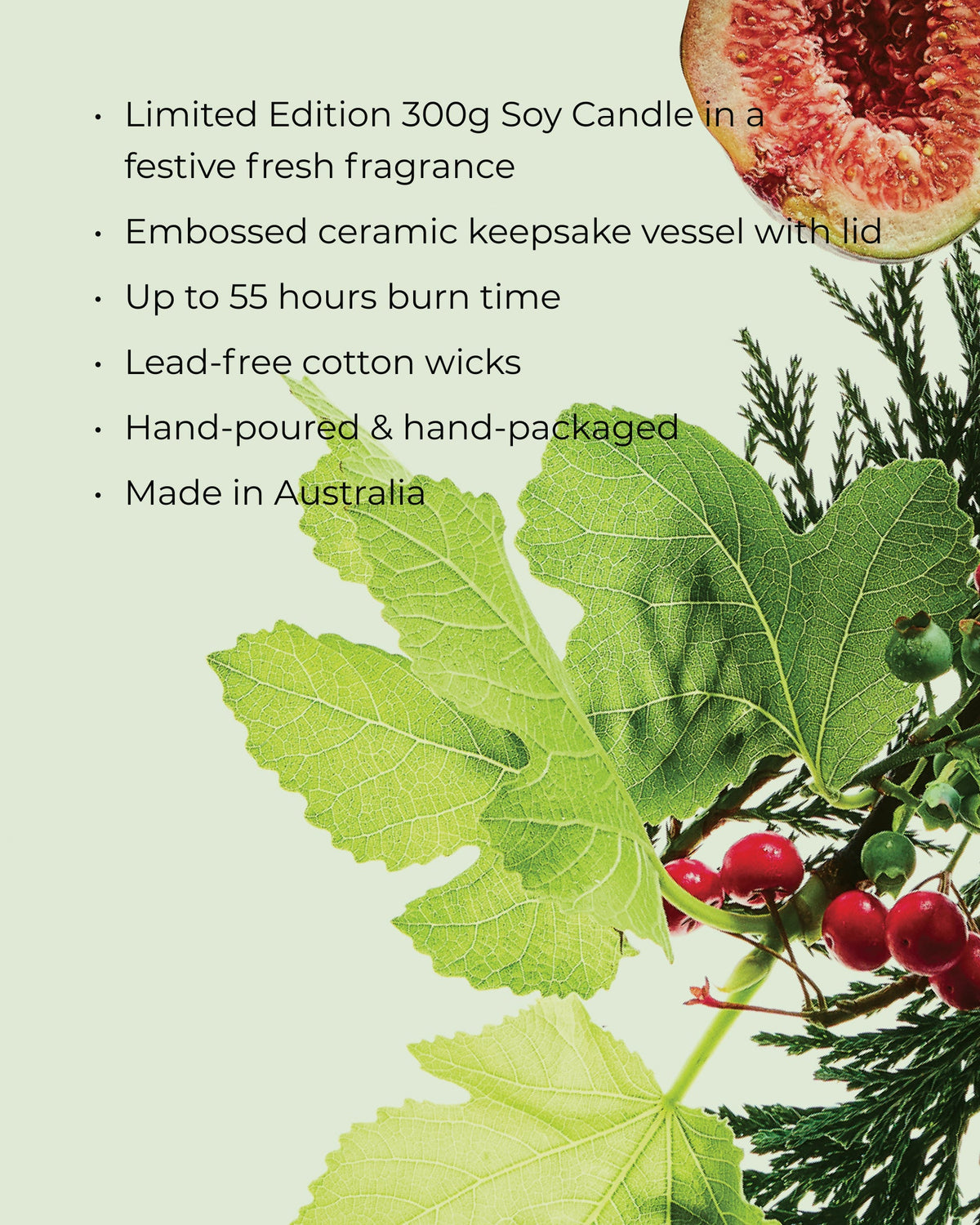 CIRCA 300g Candle - Christmas 26  - WHITE FIG & CEDAR
