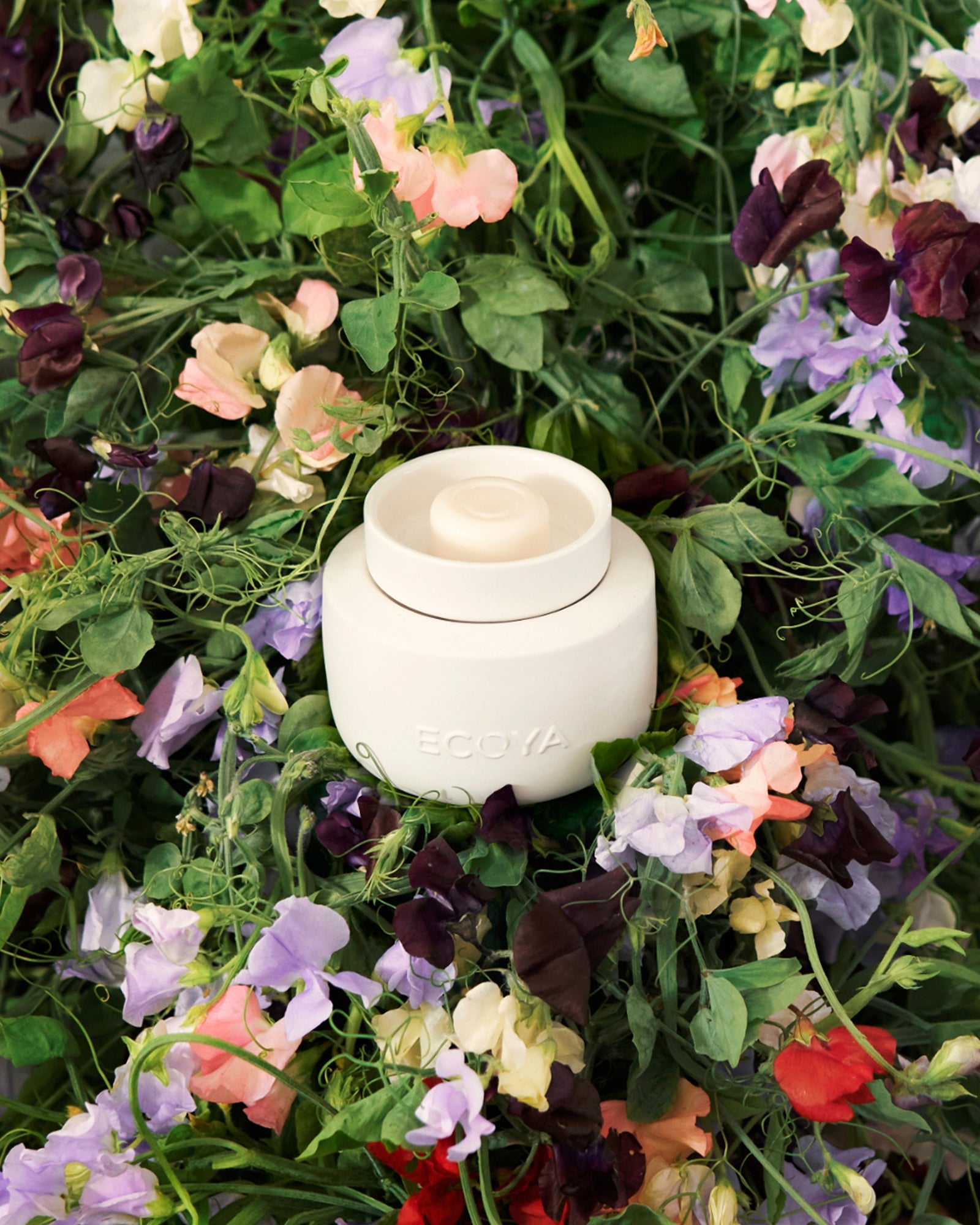 Electric Wax Melter