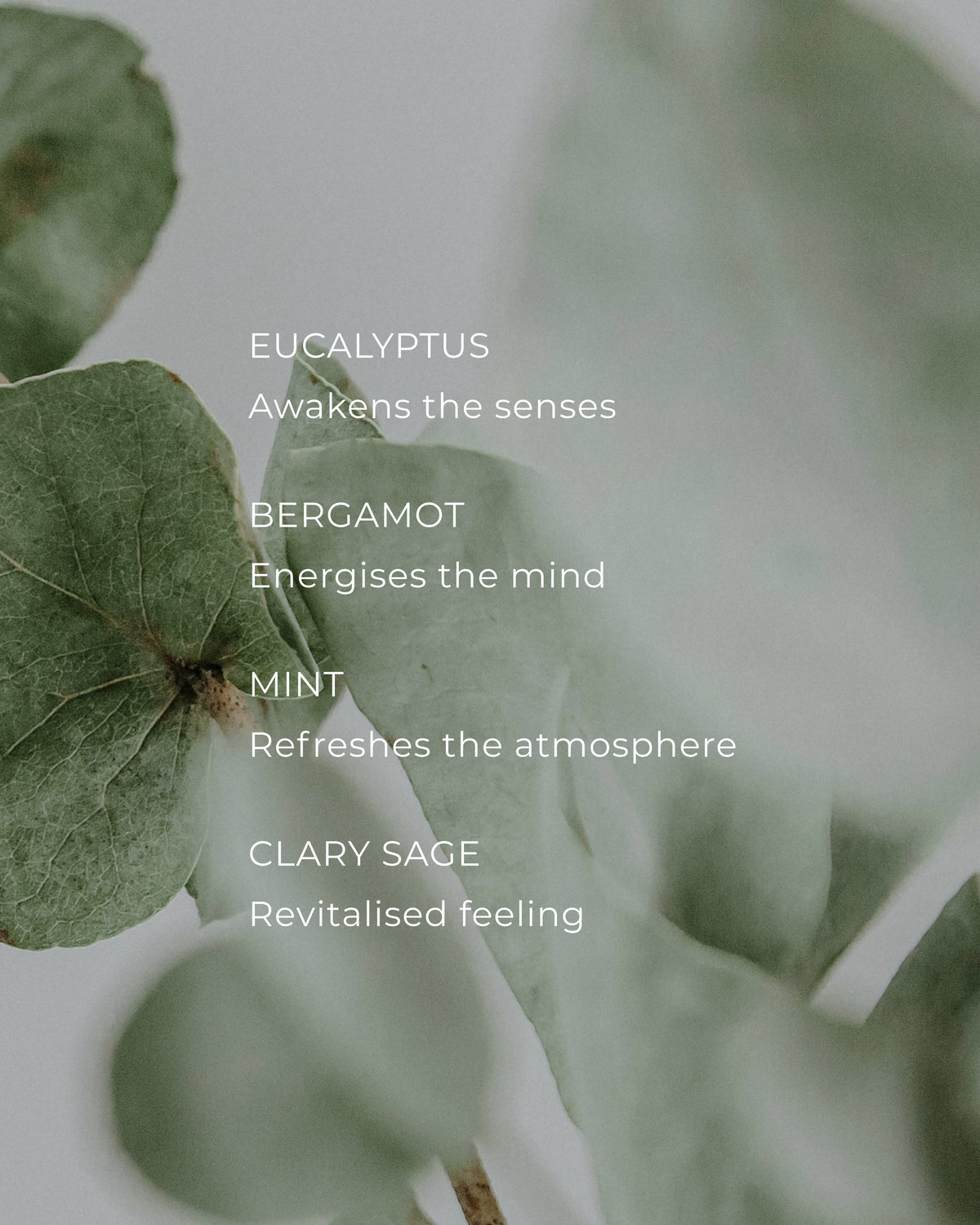 CIRCA 250ml Diffuser - Alchemy Energise - EUCALYPTUS  & BERGAMOT