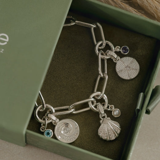 Statement Link Bracelet - Silver - Charm Carrier 19cm