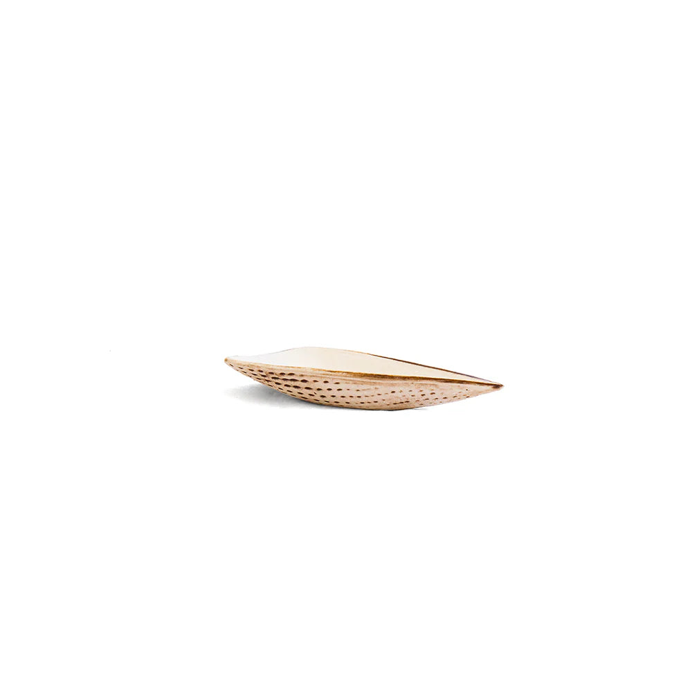 Dipping Shell Set (3) - White