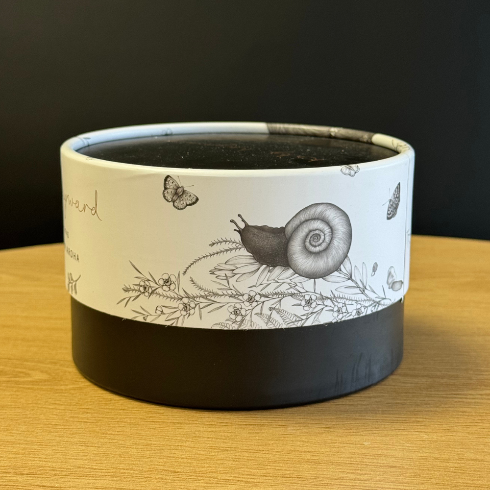 Cup - Walking with Aroha  - Brown Kiwi