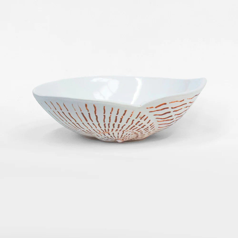 Nautilus Shell Bowl - White