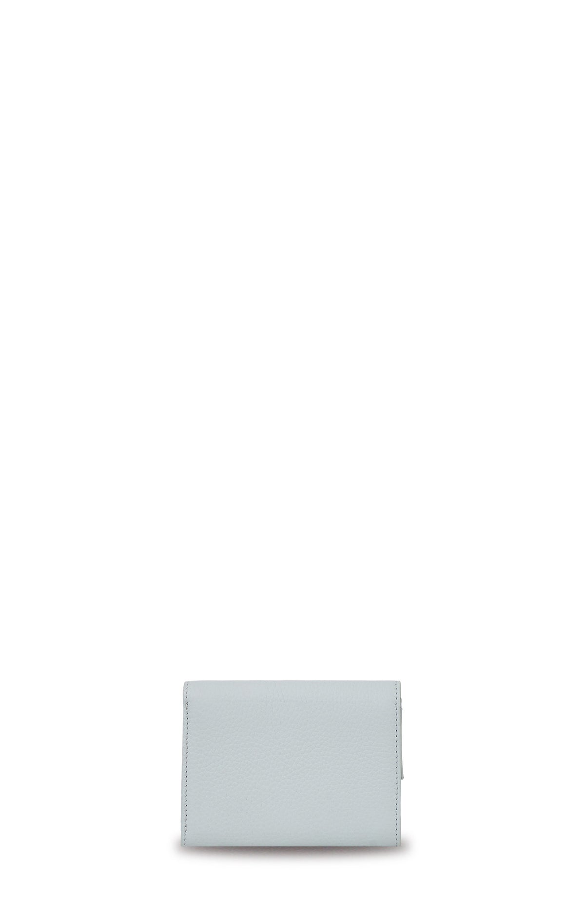Pico Wallet - Elderberry