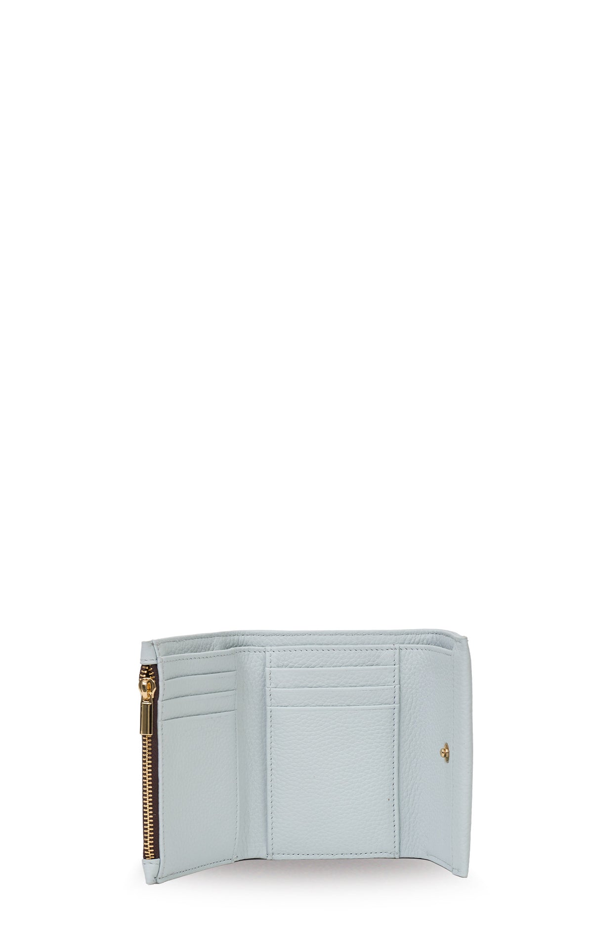 Pico Wallet - Elderberry