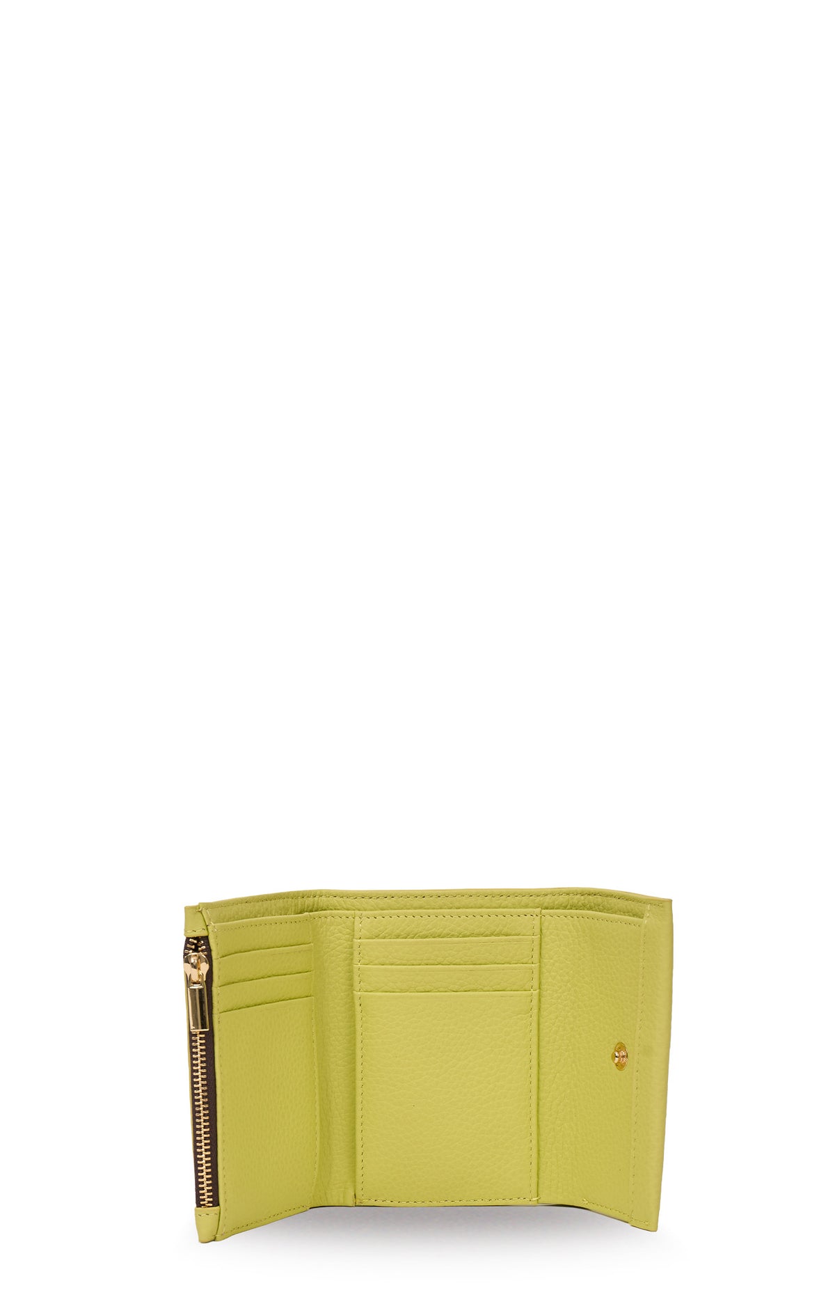 Pico Wallet - Pistachio