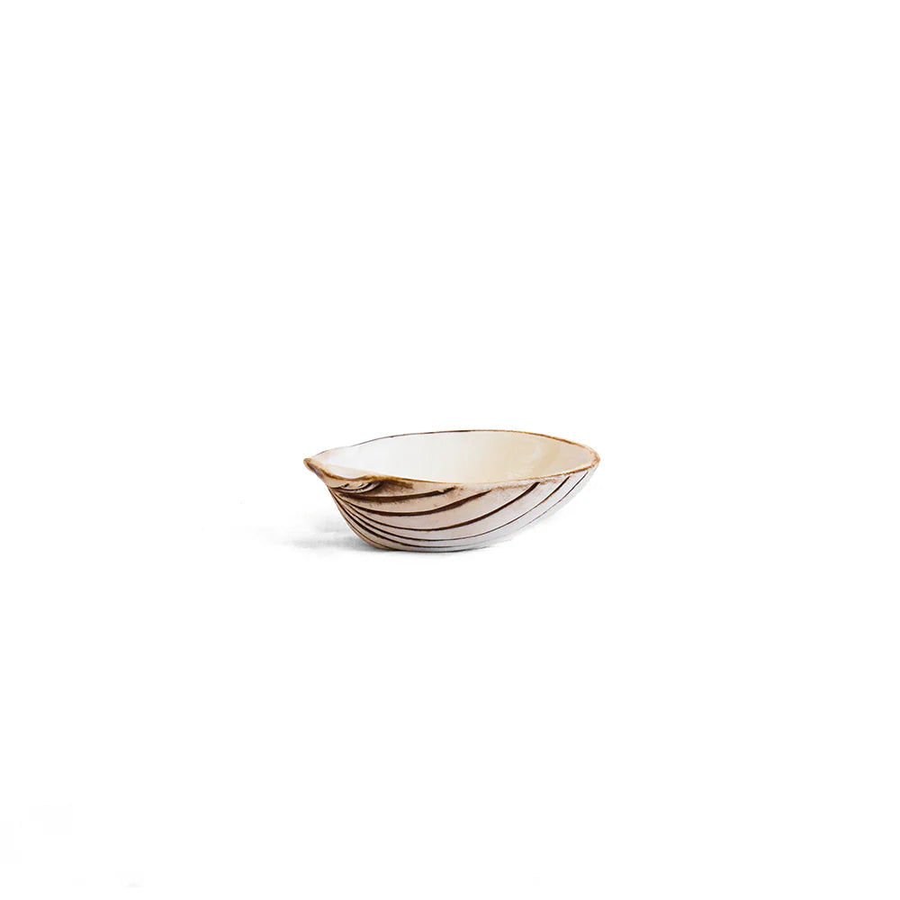 Dipping Shell Set (3) - White