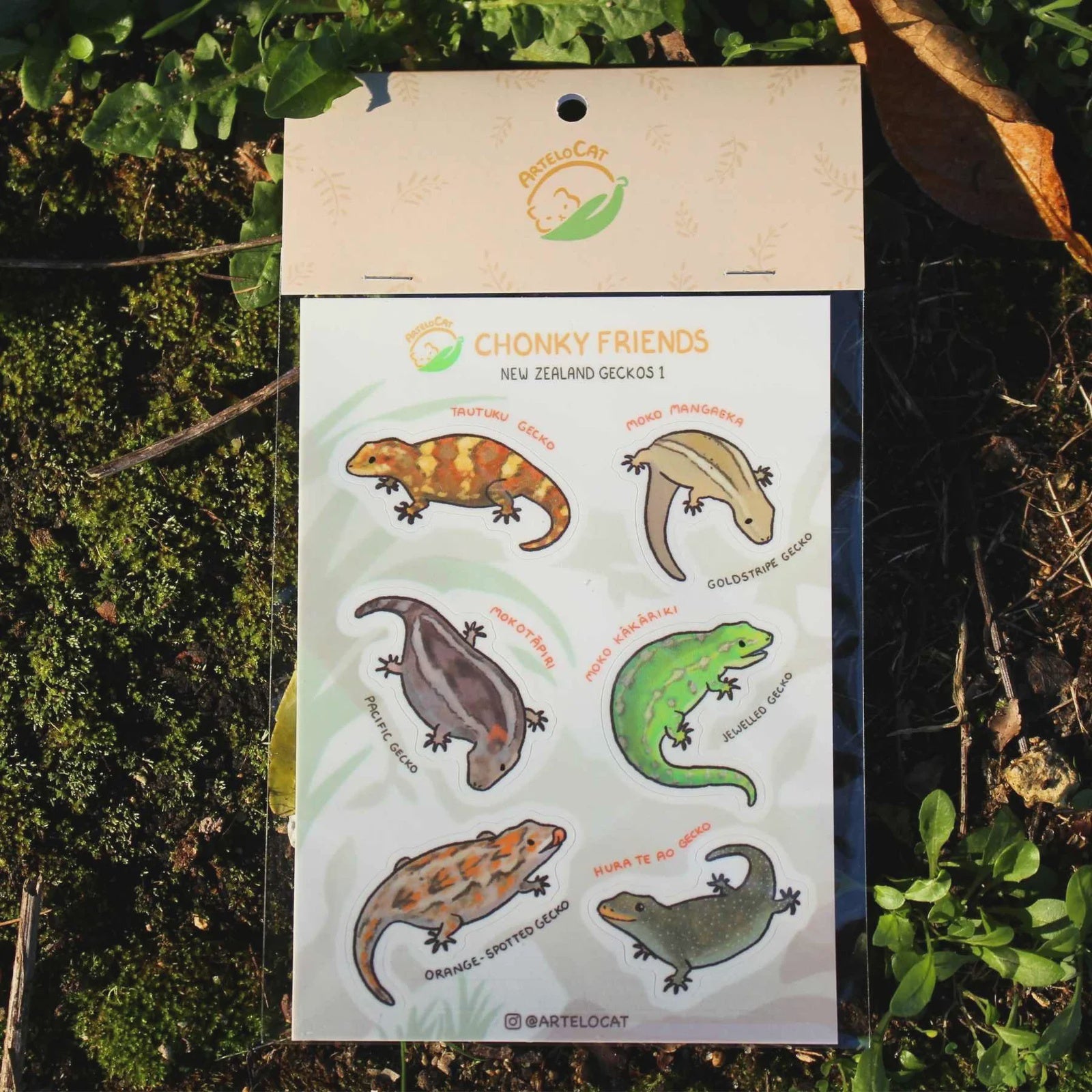 Chonky NZ Geckos 1 - Sticker
