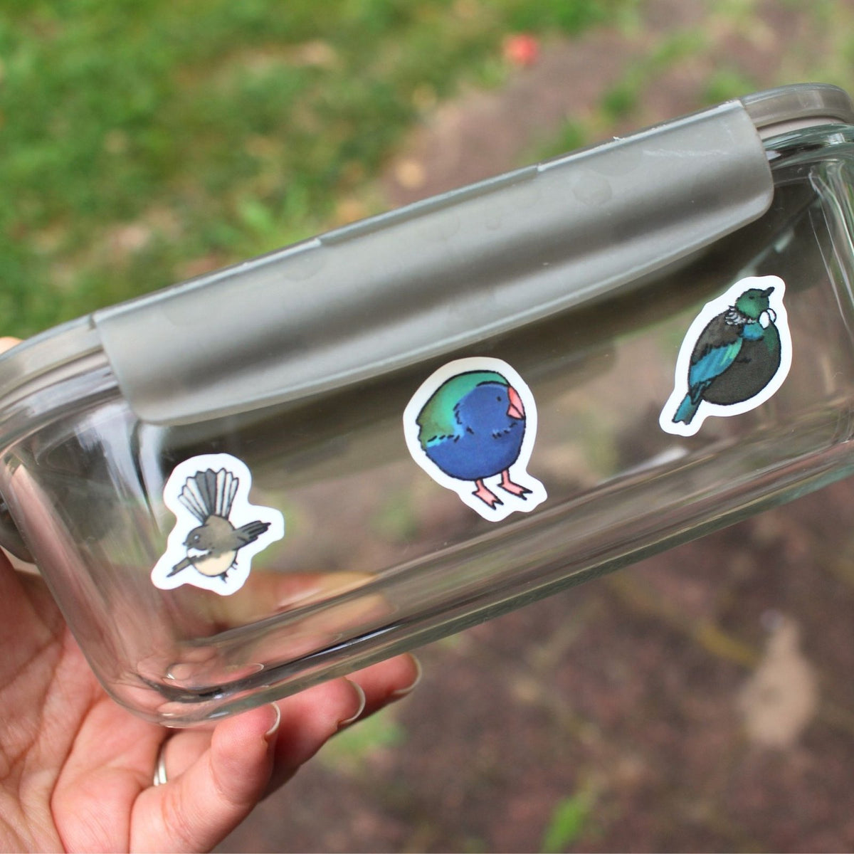 Chonky NZ Birds 1 - Sticker Sheet