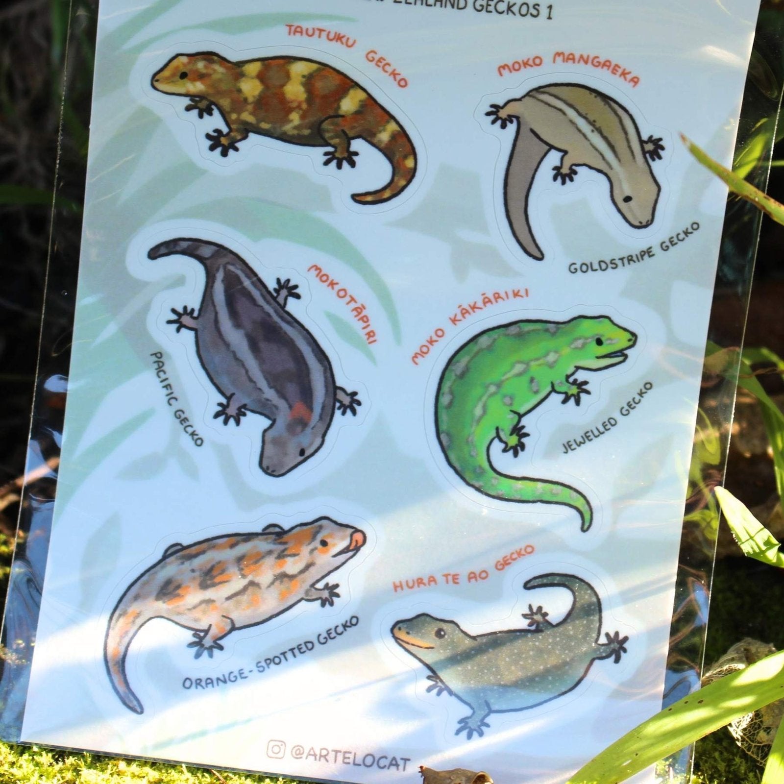 Chonky NZ Geckos 1 - Sticker