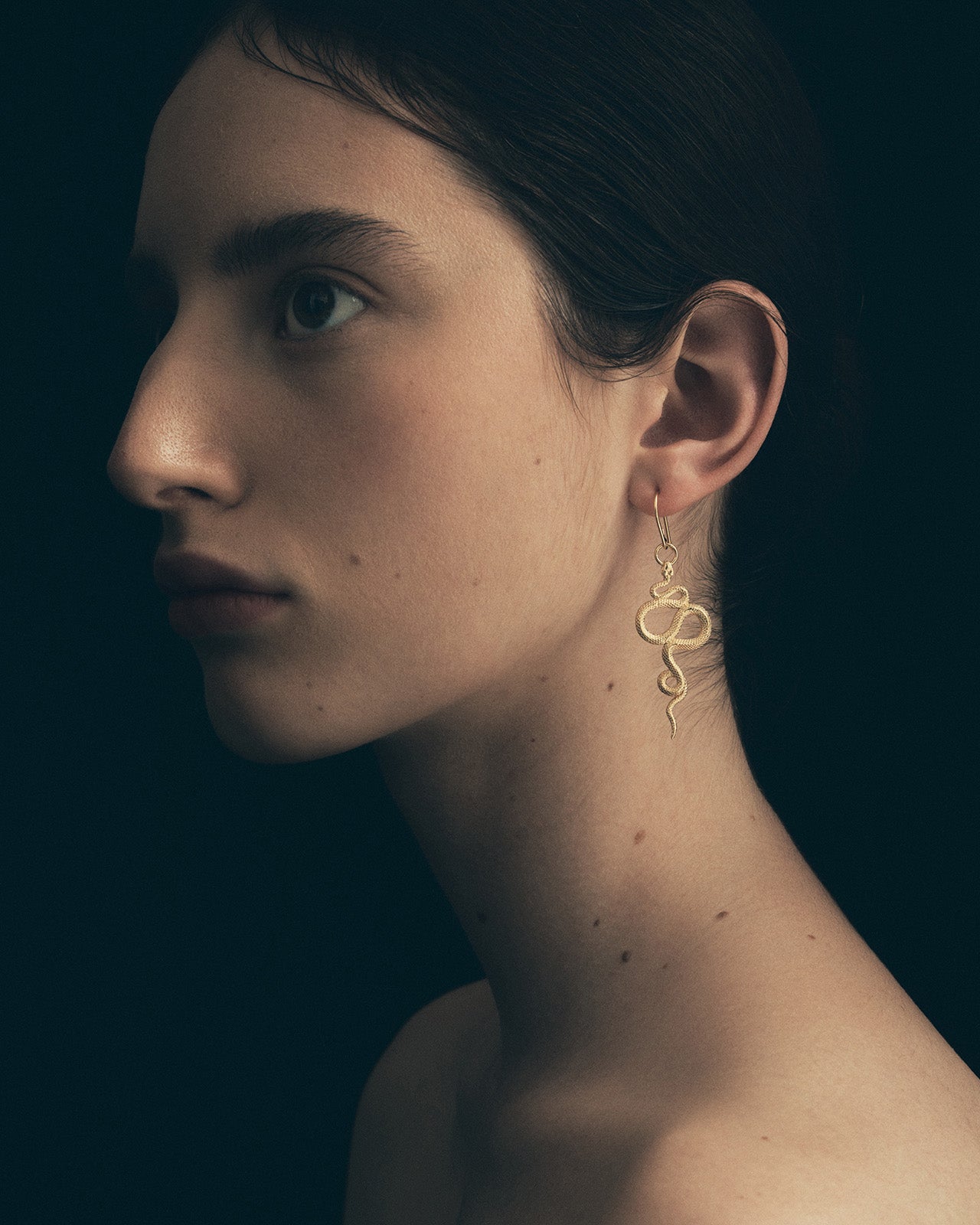 Snake Earrings (Gold)